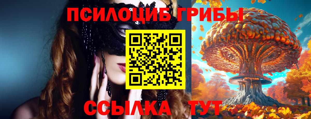 Галлюциногенные грибы Cubensis Новокуйбышевск