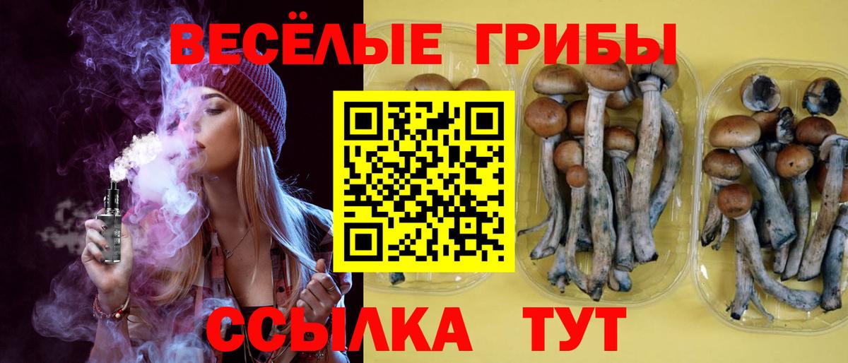Новокуйбышевск  Псилоцибиновые грибы прущие грибы  цена   Вход с VPN 